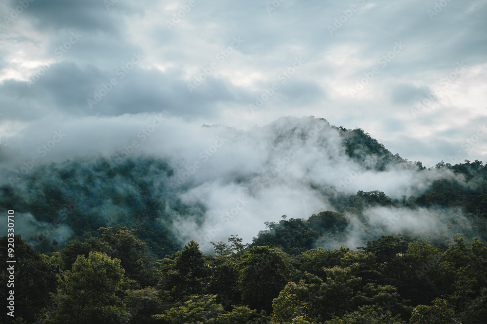 In the morning, the mountain landscape is veiled in a misty fog, with clouds drifting across the sky, while a solitary tree stands tall, embracing nature's serene beauty. In the morning, the mountain landscape is veiled in a misty fog, with clouds drifting across the sky, while a solitary tree stands tall, embracing nature's serene beauty.