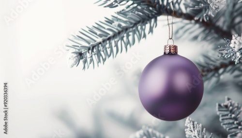 Purple ornament hanging from a snowy evergreen branch during the holiday season