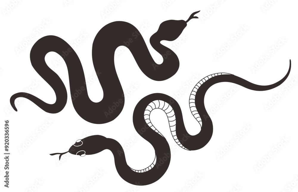 Obraz premium silhouette of two snakes, for Symbol or icon on white background ,Vector illustration