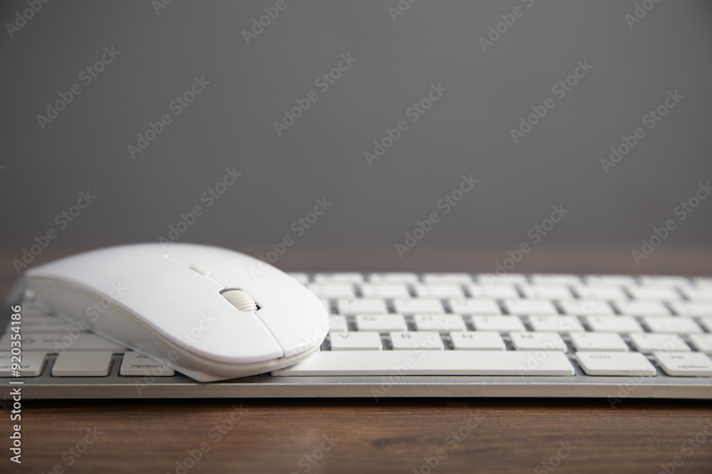 Computer keyboard and mouse on the table. Computer keyboard and mouse on the table.
