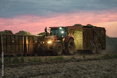 Tractor sugar cane bins, crop delivery transport to mill, farm work working dusk sunset light, rural agriculture industry, Queensland Australia