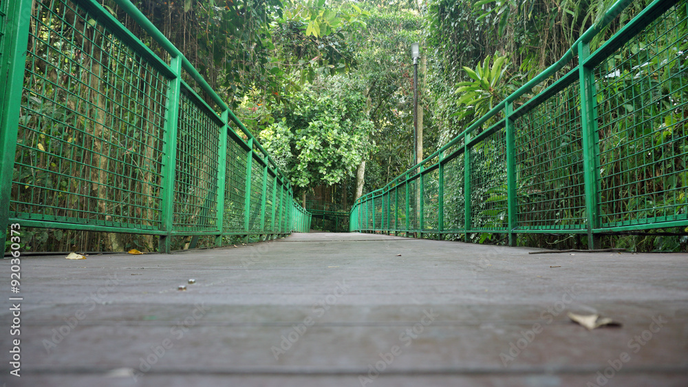 Obraz premium Wooden bridge with metal guard rails in the forest.