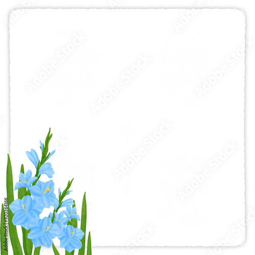 White note paper with Blue gladiolus frame