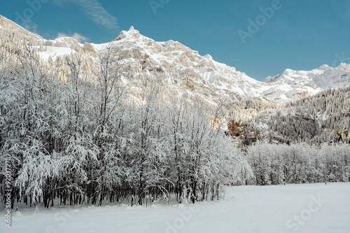 Snowy trees and mountains under a clear blue sky in Kiental photo