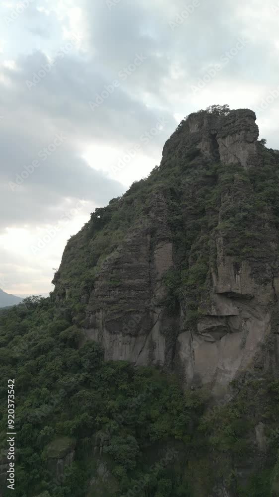 Vertical drone video. Rock formations, forested mountains Vertical drone video. Rock formations, forested mountains