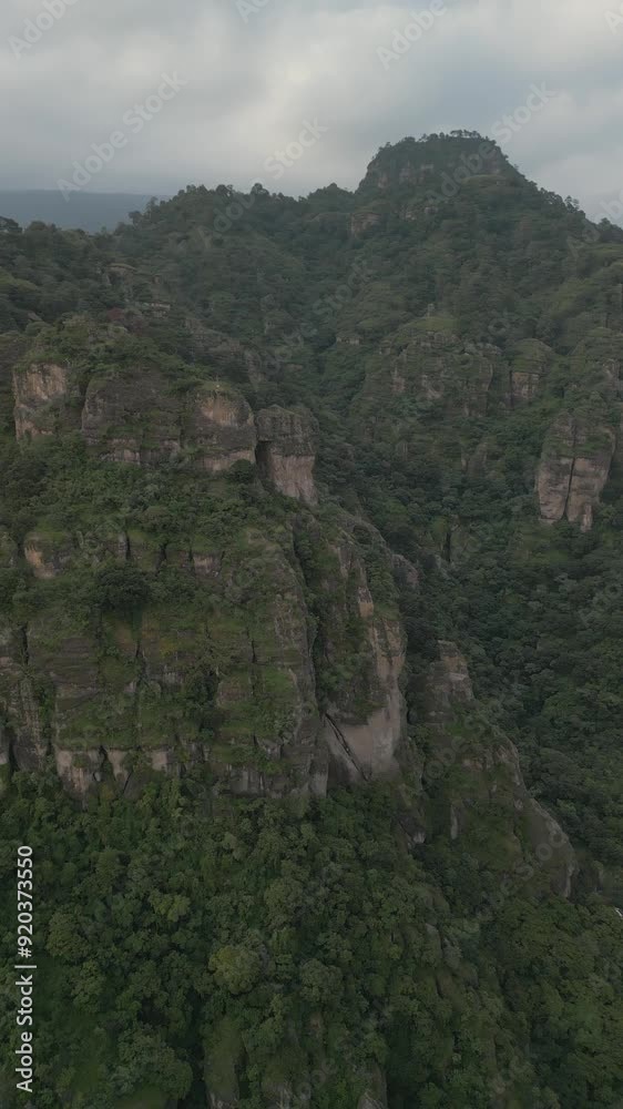 Vertical drone video. Rock formations, forested mountains Vertical drone video. Rock formations, forested mountains