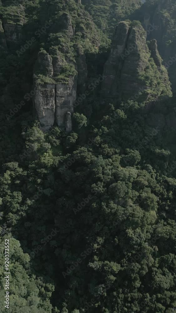 Vertical drone video. Rock formations, forested mountains Vertical drone video. Rock formations, forested mountains