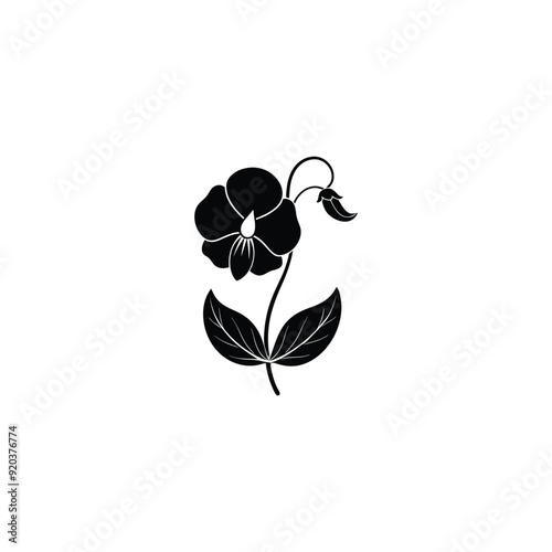 violet flowers