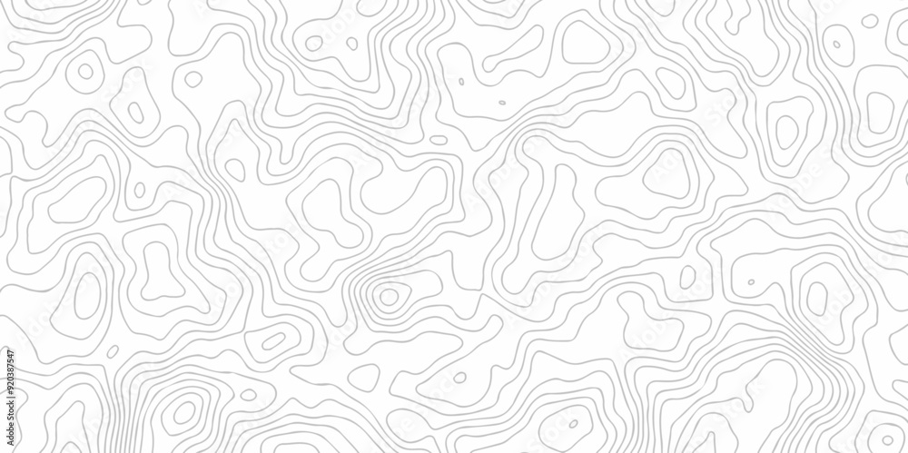 Vector black wave curve Topography grid map. white wave line geography landscape Topo contour map on white background. Geographic mountain relief diagram line pattern.