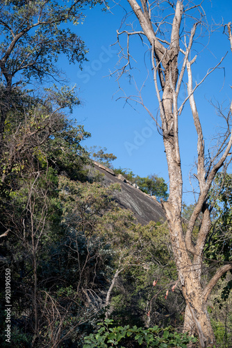 Matobo National Park is in southwest Zimbabwe. It’s known for the Matobo Hills, a range of balancing rock formations created by erosion of the granite plateau. Cecil John Rhodes grave photo