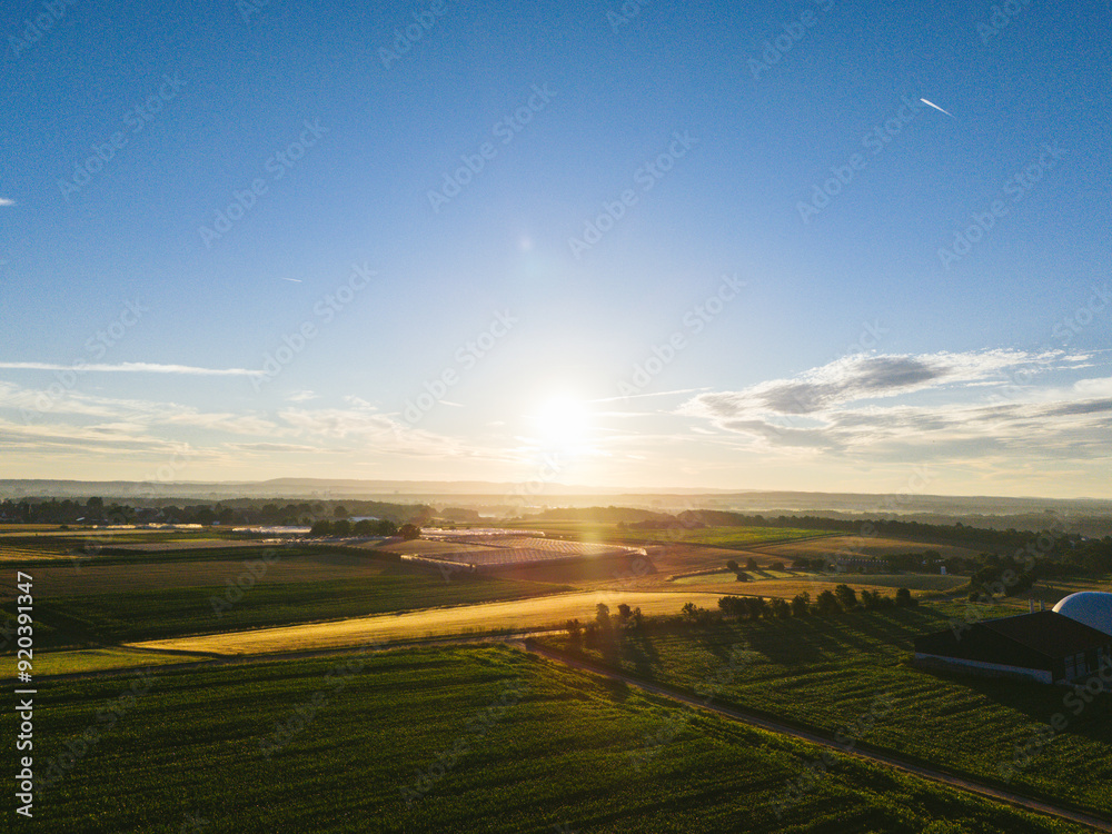 Fototapeta premium sunset over the field
