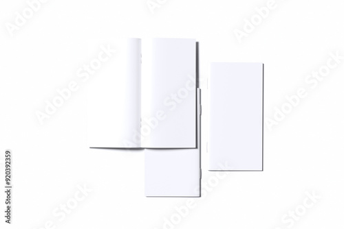 DL Bifold Brochure Blank