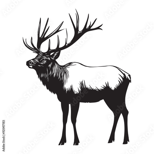Elk silhouette,  Wapiti Clipart, A Elk Standing Vector Illustration
