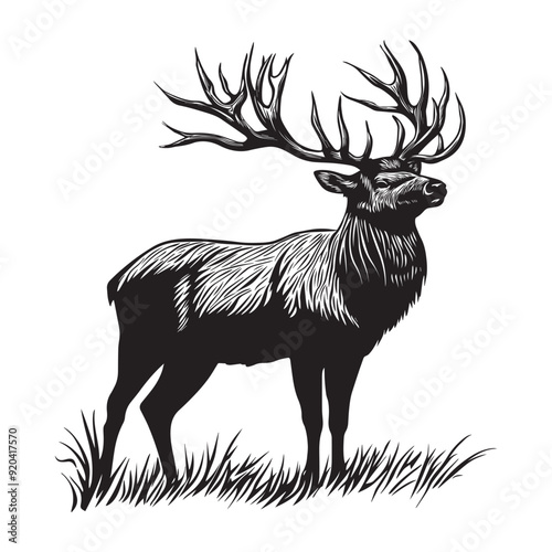 Elk silhouette,  Wapiti Clipart,  An Elk Forest Forager Vector Illustration in black and white