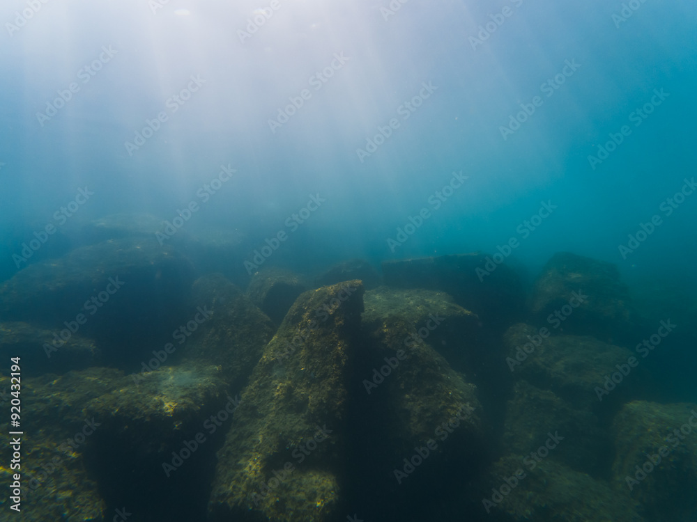 Underwater landscape in the Mediterranean Sea off the coast of Nice in France, seabed and rocks. Underwater landscape in the Mediterranean Sea off the coast of Nice in France, seabed and rocks.