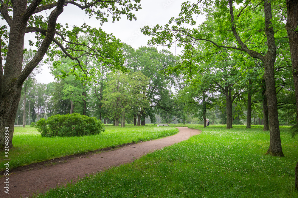 A winding path meanders through vibrant greenery, as raindrops gently fall, creating a peaceful ambiance in the heart of the park. A winding path meanders through vibrant greenery, as raindrops gently fall, creating a peaceful ambiance in the heart of the park.