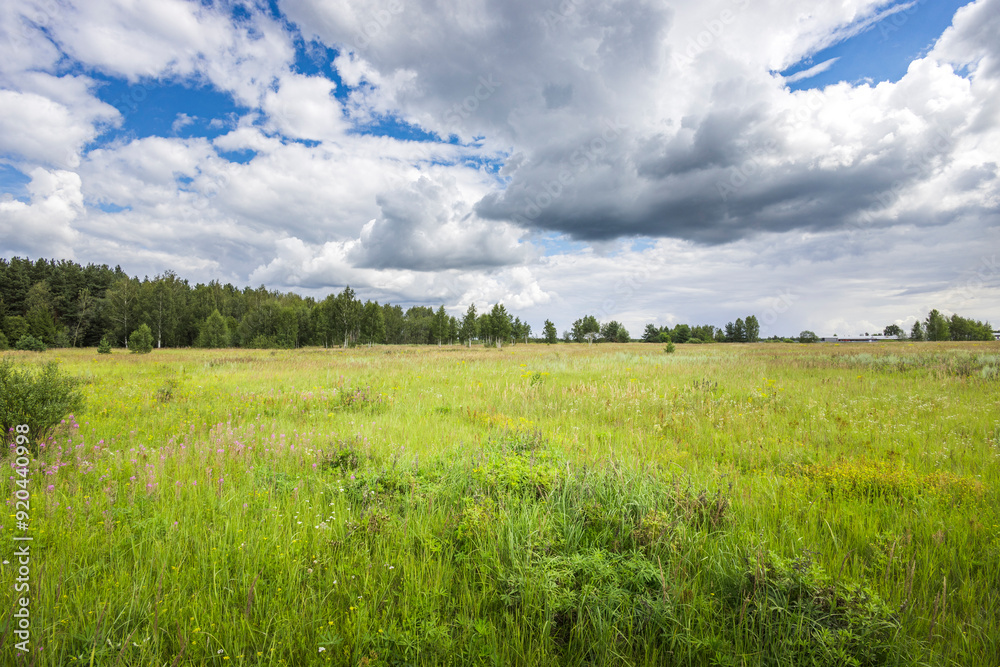Tall grass sways gently as clouds drift above, bringing a sense of peace and beauty to the expansive meadow at the end of a sunny day. Tall grass sways gently as clouds drift above, bringing a sense of peace and beauty to the expansive meadow at the end of a sunny day.