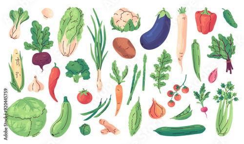 Hand drawn fresh vegetables, organic farmer harvest. Cartoon isolated vegetable doodles, healthy vegan cooking ingredients, green vegetables and salads, delicious vitamin rich food products vector set