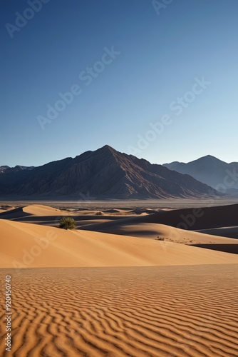 the sand is brown