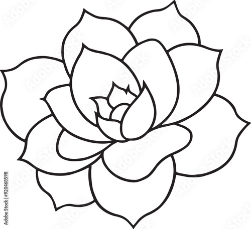 Flower Vector outline illustration photo