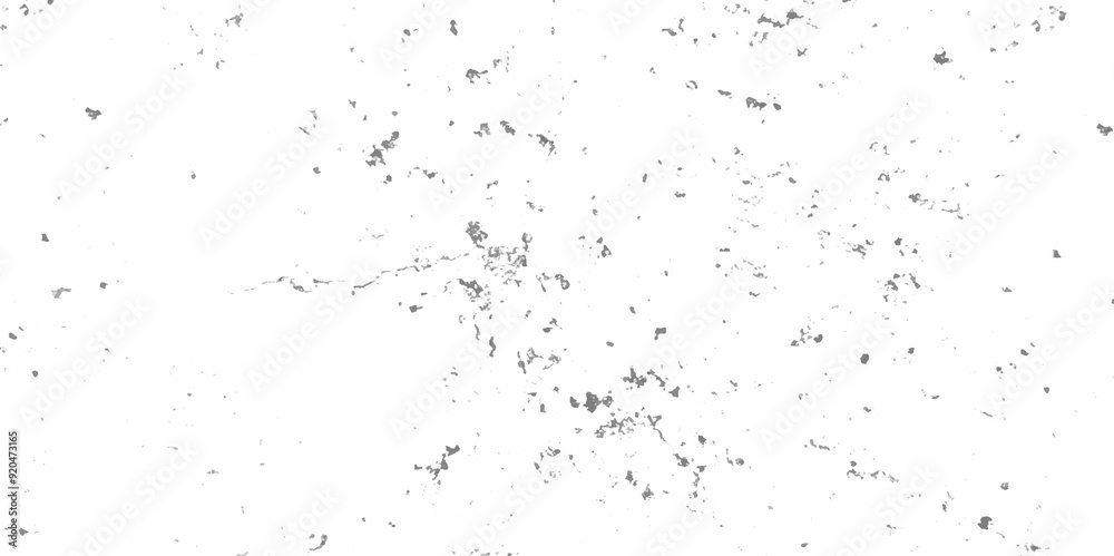 Abstract white and black texture of a grunge concrete wall with cracks and scratches background. distressed grunge concrete wall texture. abstract vintage of old surface texture background. Abstract white and black texture of a grunge concrete wall with cracks and scratches background. distressed grunge concrete wall texture. abstract vintage of old surface texture background.