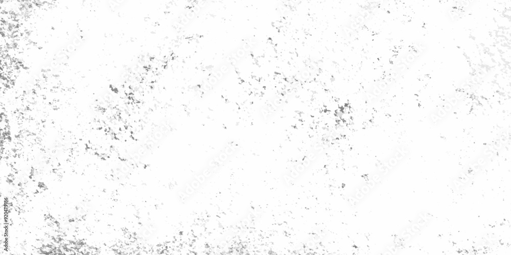 Abstract white and black texture of a grunge concrete wall with cracks and scratches background. distressed grunge concrete wall texture. abstract vintage of old surface texture background. Abstract white and black texture of a grunge concrete wall with cracks and scratches background. distressed grunge concrete wall texture. abstract vintage of old surface texture background.