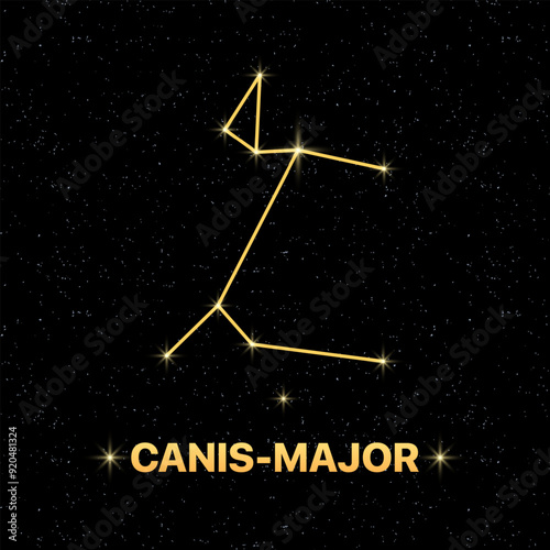 Constellation Canis-major banner. Flat style. Vector illustration.