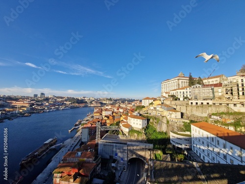 Vue de Porto avec une mouette qui passe