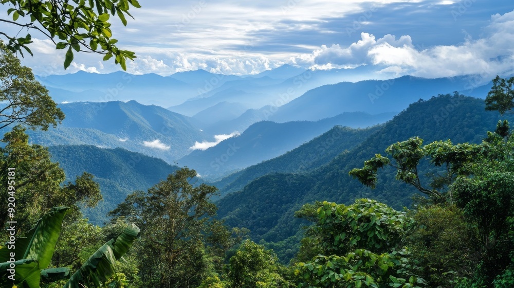 A breathtaking view of lush green mountains shrouded in mist under a bright blue sky with fluffy white clouds. A breathtaking view of lush green mountains shrouded in mist under a bright blue sky with fluffy white clouds.