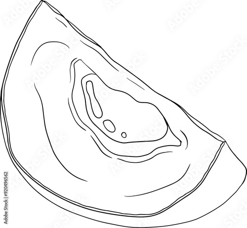 Chiku elements. Sapodilla naseberry pouteria line fruits. Vector botanical design of exotic tropical fruit