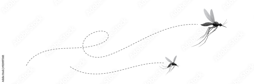 flying mosquitoes and their flight paths flying mosquitoes and their flight paths