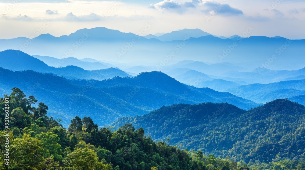 Fototapeta premium A panoramic view of a lush green forest and distant blue mountains, bathed in the warm glow of the setting sun.