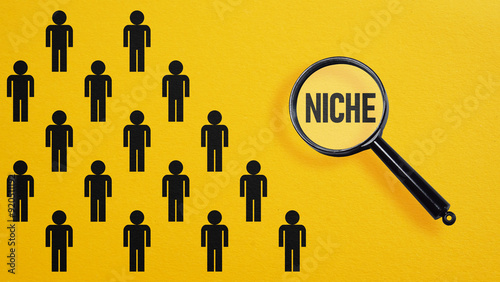 Market niche concept. Targeting and segmentation for customer