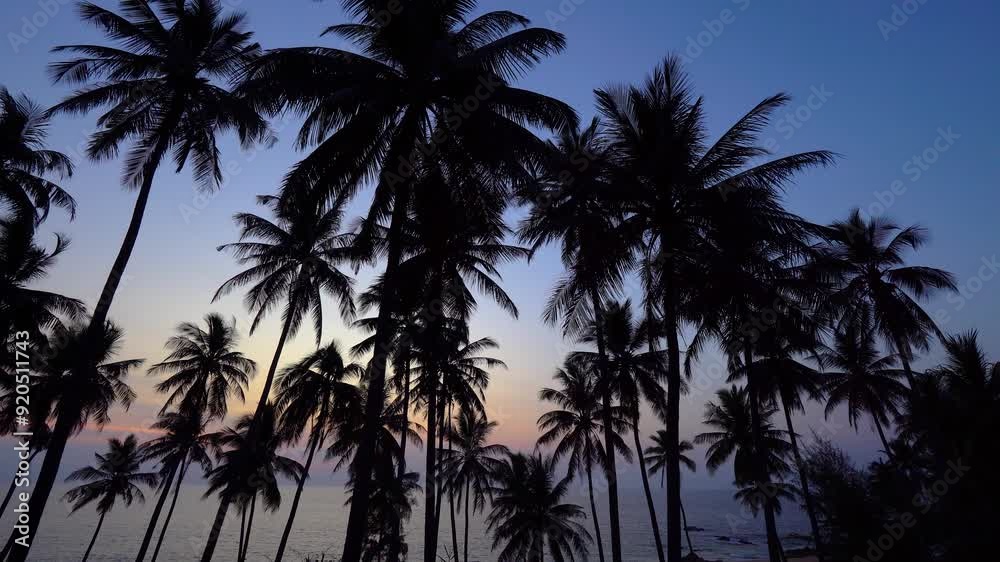 The coconut tree leaves with background with sea waves on the beach for background The coconut tree leaves with background with sea waves on the beach for background