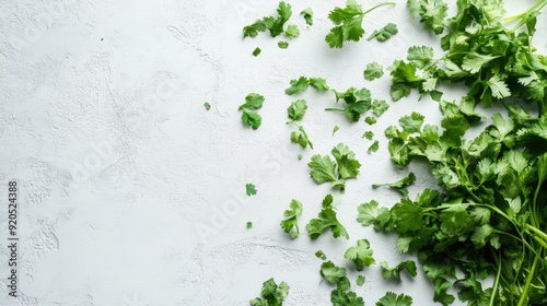 Fresh parsley and cilantro leaves scattered on a light surface with ample space around for copy.