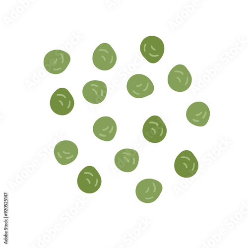 Green pepper top view isolated on white background .Flat doodle vector illustration for food and drink design ,spice hand drawn illustration
