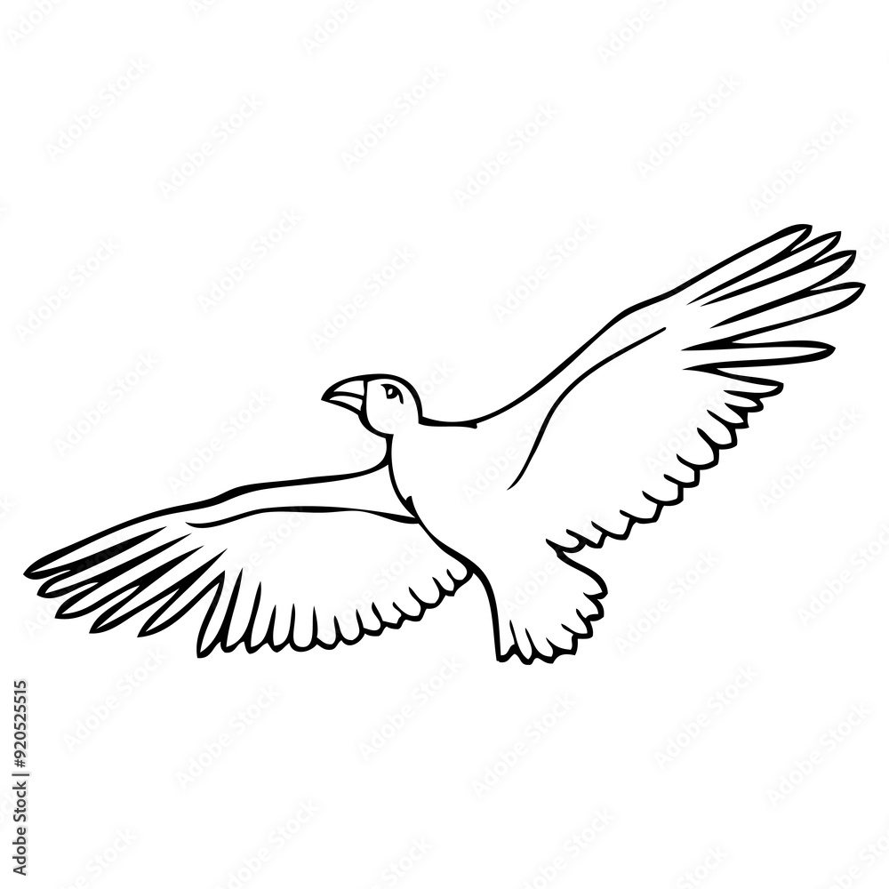 bird flying sketch illustration bird flying sketch illustration