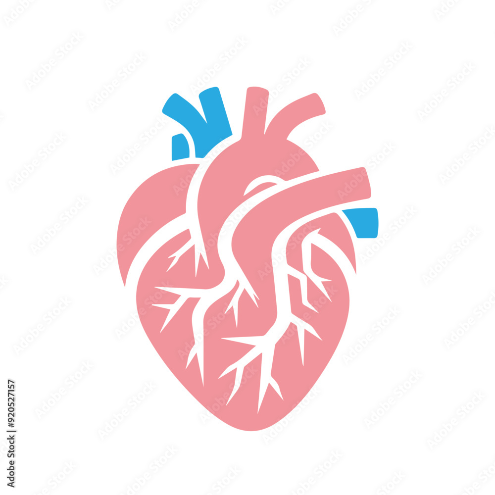 Obraz premium Human heart anatomicall flat style