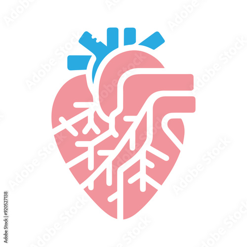 Human heart anatomicall flat style