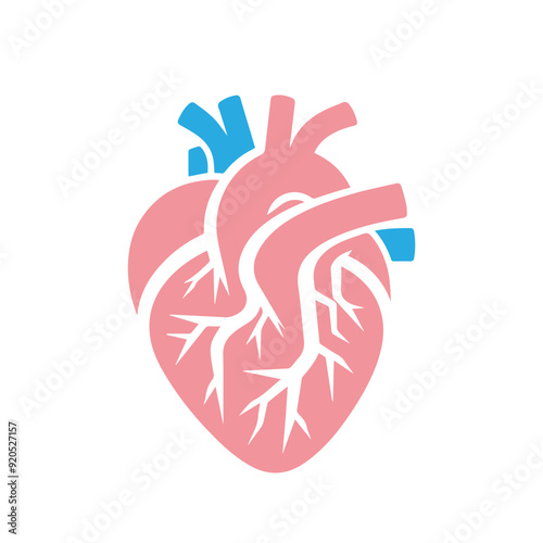 Human heart anatomicall flat style