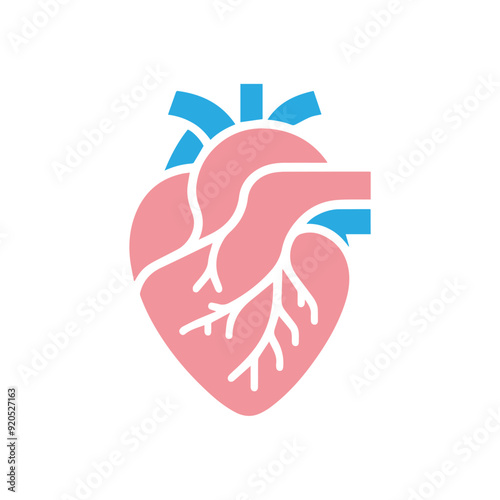 Human heart anatomicall flat style