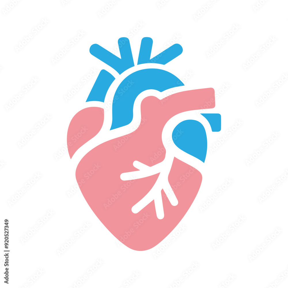 Human heart anatomicall flat style Human heart anatomicall flat style