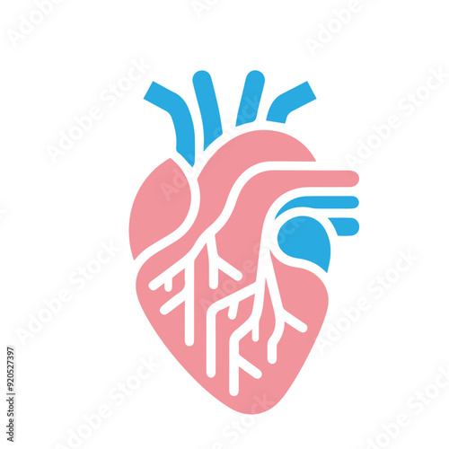 Human heart anatomicall flat style