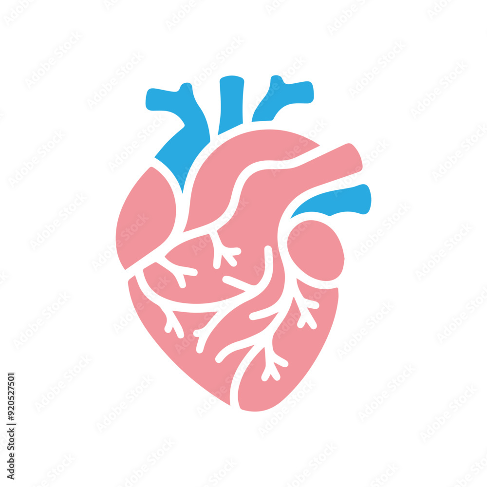 Human heart anatomicall flat style Human heart anatomicall flat style