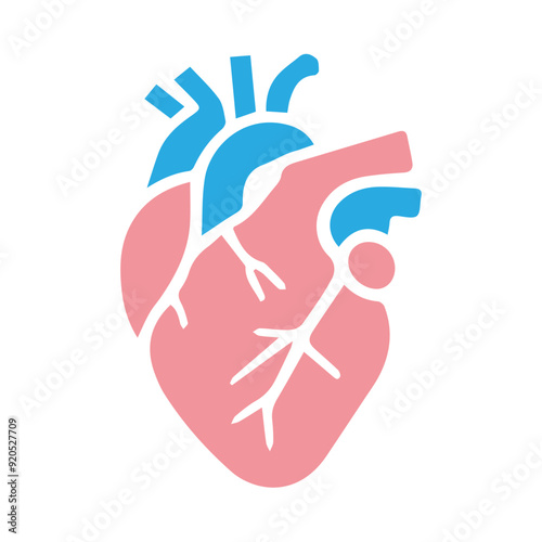 Human heart anatomicall flat style