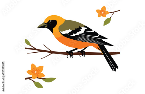 Flat Oriole bird stay vector kawaii on white background