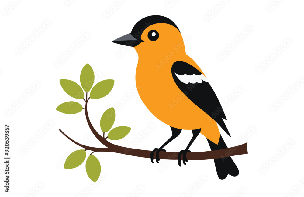Obraz premium Flat Oriole bird stay vector kawaii on white background