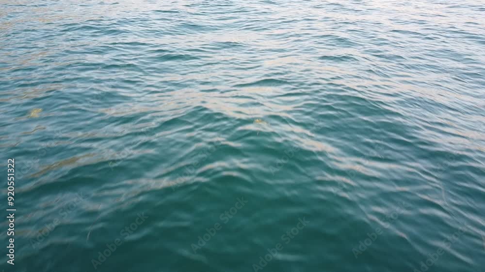 water surface water surface