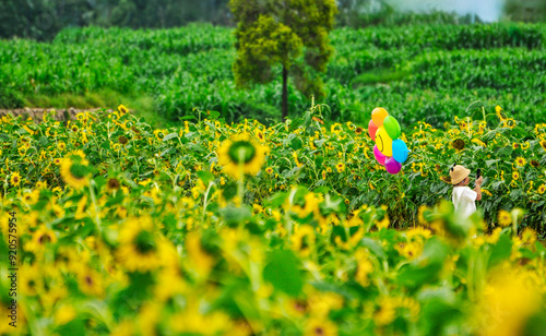 Children frolicking in the sunflower field