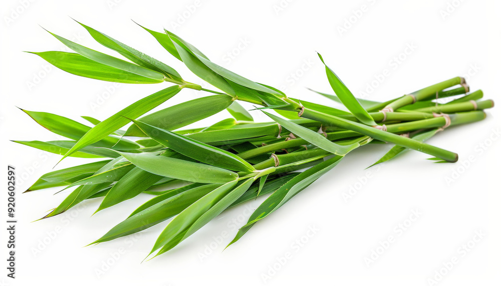 Green Bamboo Stalk with Leaves, Isolated on White Green Bamboo Stalk with Leaves, Isolated on White